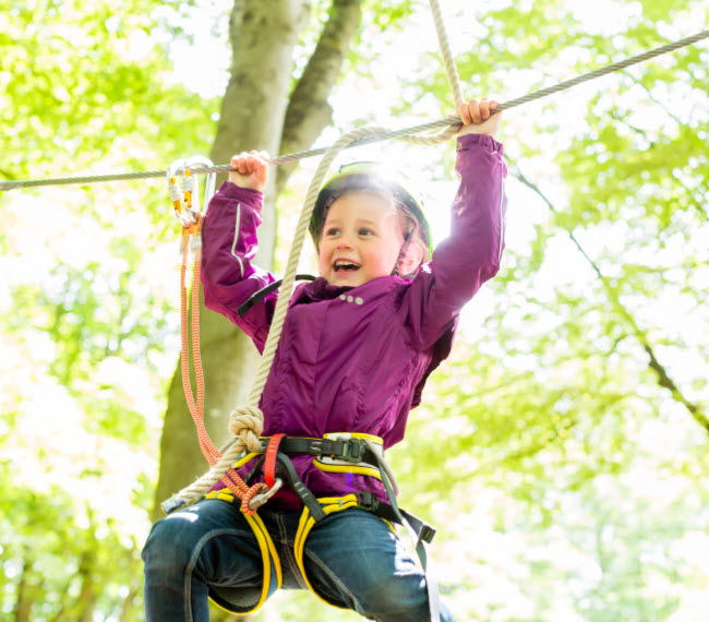 Small child in purple jacket doing treetop adventure climb